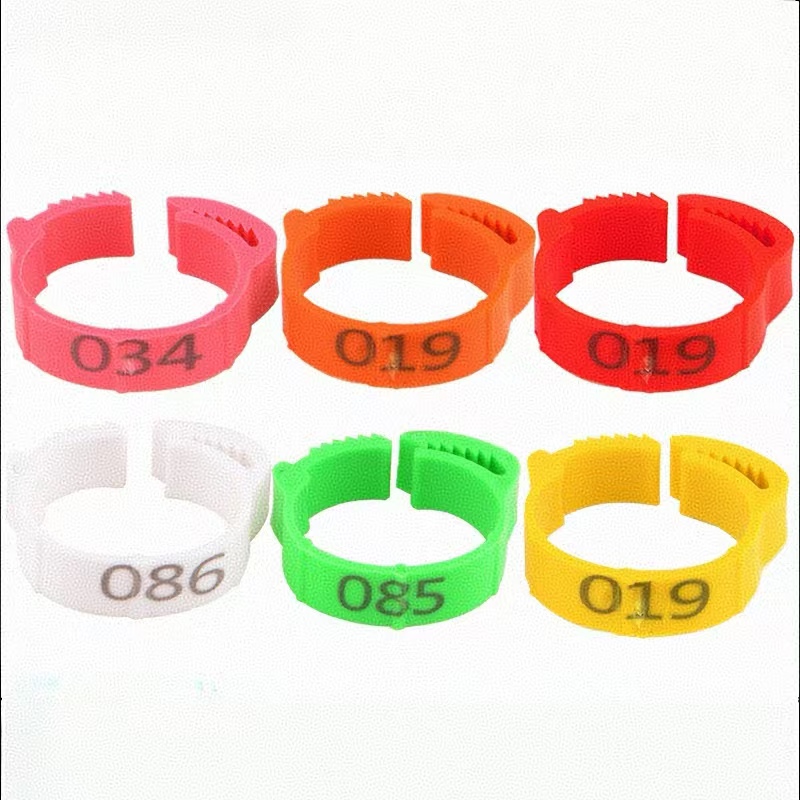 100pcs Chicken Foot Ring Label - Baby Food Label 评论和价格