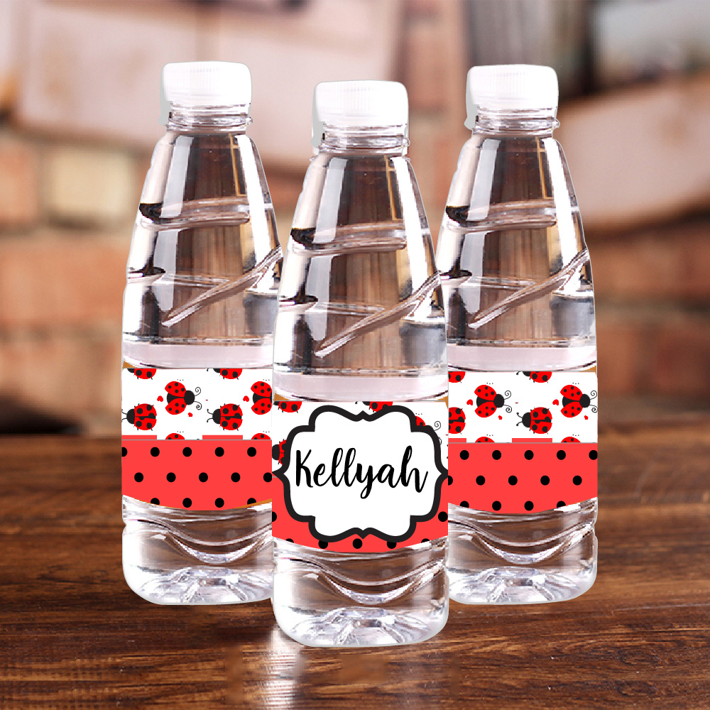 Personalised Ladybug Red Polka - Baby Food Name 评论和价格